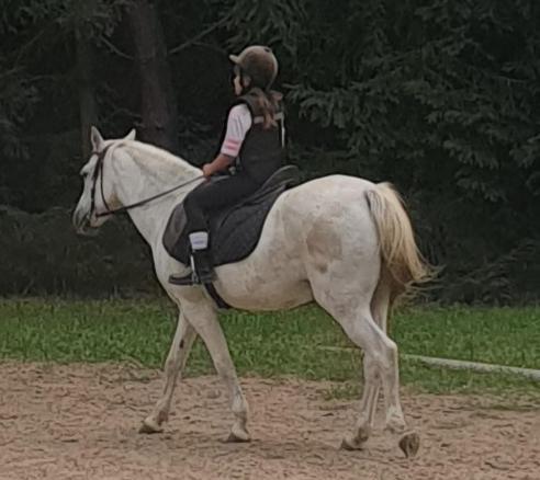 Domek Pod Trzema Kuropatwami Ily Kolo Urli Bagian luar foto